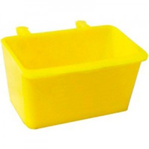 ALPISTERO CUAD. G. AVES