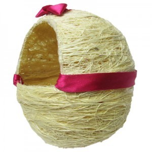 NIDO DE IXTLE P/FINCHE