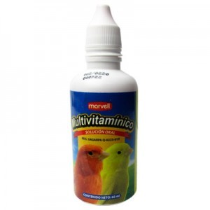 MULTIVITAMINICO 60 ML