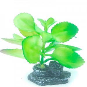 AD. PIEDRA C/PLANTA 3 13X13X11 CM.