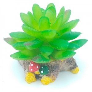 AD. SUCULENTA 3 8X8X7 CM.