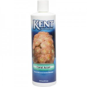 Acondicionador Coral Accel 473 Mililitros