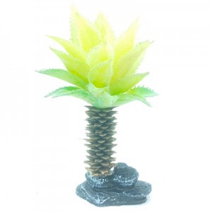 AD. PALMA 8X4X17 CM.