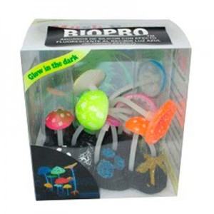 AD.JARDIN HONGOS FLUOR.