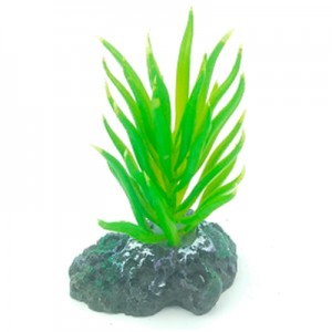 AD. PIEDRA C/PLANTA 2 6X5X8 CM.