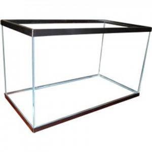 PECERA DE 5 G.41*21 CM.