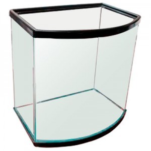 PECERA PANOR.10MM 77X38X50 CM.