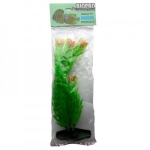 PLANTA ANACHARIS 22 CM