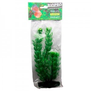 PLANTA DE CUERNOS 109 CM.