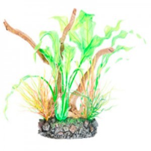 RAIZ C/PLANTAS 10 19X6X16 CM.