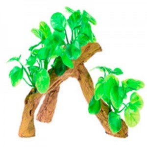 RAIZ C/PLANTAS 6 17X9X15 CM.