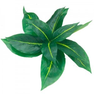 PLANTA PLAS.  1 30X30 X8 CM