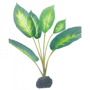 PLANTA PLAS.  10 20X20X30 CM.