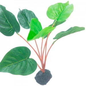 PLANTA PLAS.  11 20X20X30 CM.