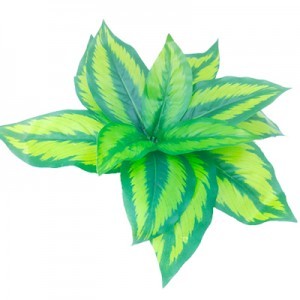 PLANTA PLAS.  2 30X30X8 CM.