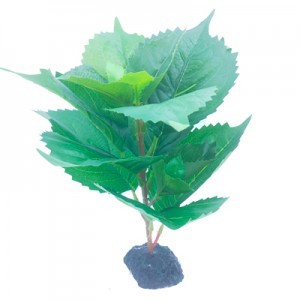 PLANTA PLAS.  3 20X20X23 CM.