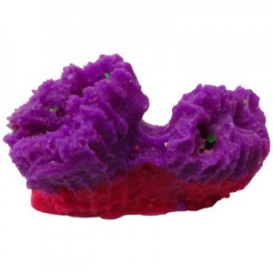 CORAL PUSH 2 PICOS 3X2X3 CM.