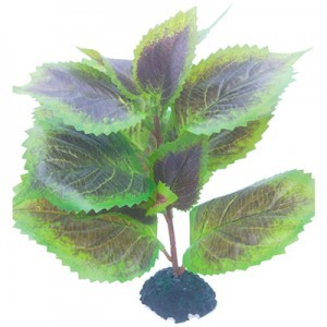 PLANTA PLAS.  4 20X20X23 CM.