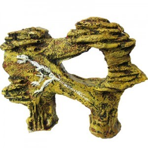 FOSIL TIRANOSAURIO 11X4X14 CM.