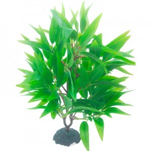 PLANTA PLAS.  7 25X20X30 CM.