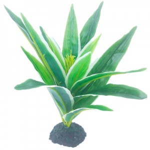 PLANTA PLAS.  8 25X25X24 CM.