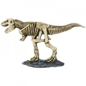 TIRANOREX 20X2X10 CM.