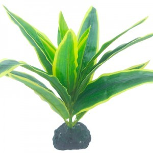 PLANTA PLAS.  9 25X25X24 CM.