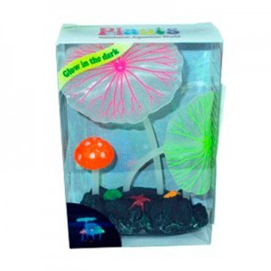 AD.2 PLANTAS+2 HONGOS FLUOR.