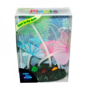 AD.4 PLANTAS FLUORESCENTE