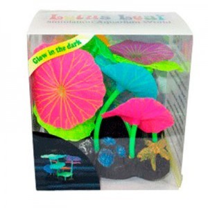 AD.6 PLANTAS+3 HONGOS FLUOR.