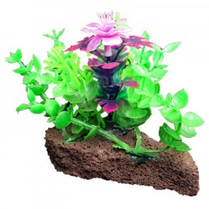 PIEDRA CON PLANTAS