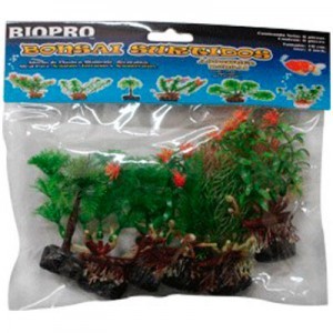 Plantas Tipo Bonsai Surtido 10 Centimetros
