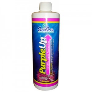 PURPLE UP 454 ML.