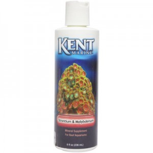 STRONTIUM M.DENUM236ML(OF)