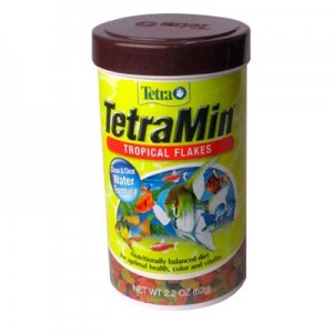 AL.TETRAMIN FL.62 GR.