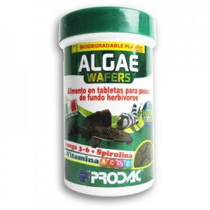ALGAE WAFER 100 ML 50 G