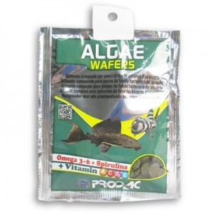 ALGAE WAFER 8 GR - EN SOBRE