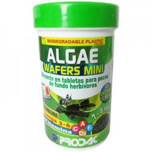 ALGAE WAFER MINI 100 ML. 50 G.