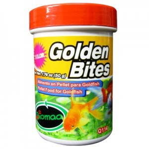 GOLDEN BITS 50 GR.