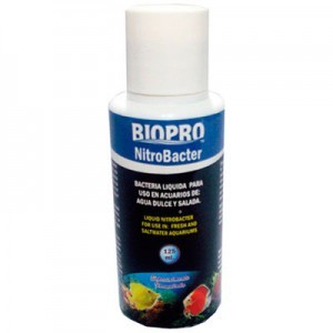 NITRO BACTERIA 125 ML.