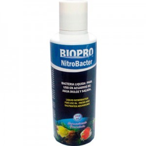 NITRO BACTERIA 250 ML.