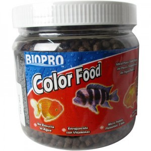 COLOR FOOD 4 MM. 1 LTO.