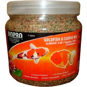 GOLDFISH & CARPAS KOI 1 LTO.