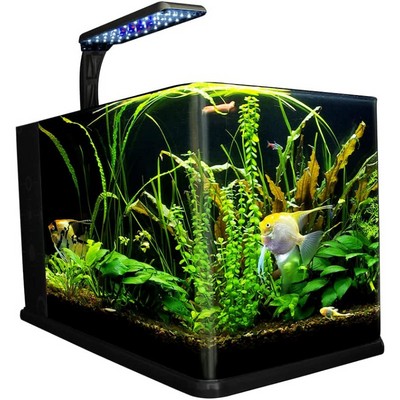 Acuario Nano Largo 14 Litros