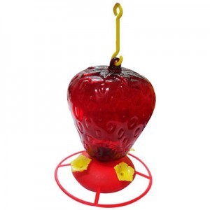 Bebedero Para Colibri en Forma de Fresa